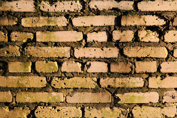 Old brick wall. reddish brick wall of an old building