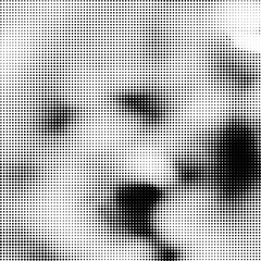 Halftone Pattern. Set of Dots. Dotted Texture on White Background. Overlay Grunge Template. Distress Linear Design. Fade Monochrome Points. Pop Art Backdrop.