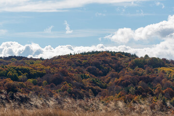 Autumn landscape with couldy moody sky rural mountain woodland bulgaria