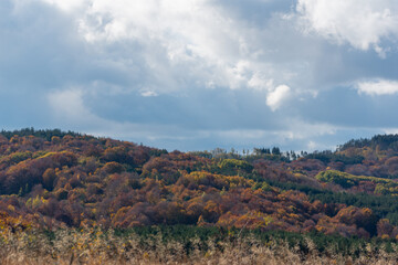 Fototapeta premium Autumn landscape with couldy moody sky rural mountain woodland bulgaria