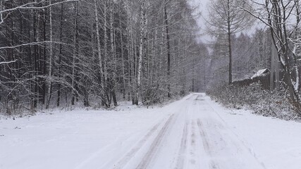 Fototapeta premium road in winter
