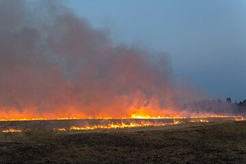 farm field stubble burning