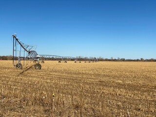 Commercial sprinkler on farmland with blue sky and field