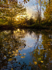 Fototapeta na wymiar sunset on a lake in autumn