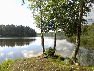 Lake wild beach and forest around.
The forest surrounds a beautiful lake with clear water. Trees and bushes grow on the shore. white sky with white clouds over the lake and forest. There are slight ri