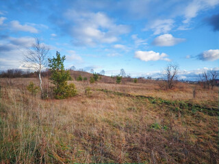 Autumn landscape meadow with yellowed grass against the background of forest foliage, mountains and a beautiful sunset sky.