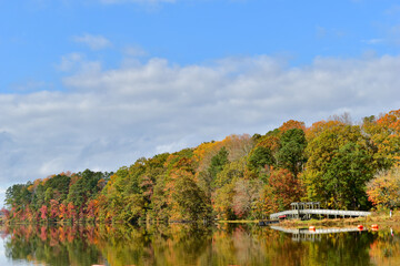 Fall scene at a lake with tree reflections
