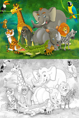 Cartoon zoo scene with sketch in the jungle stage with animals illustration