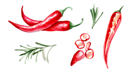 watercolor drawing of chili peppers on white background. Healthy eating. Vegetarian food. A slice of vegetables.
