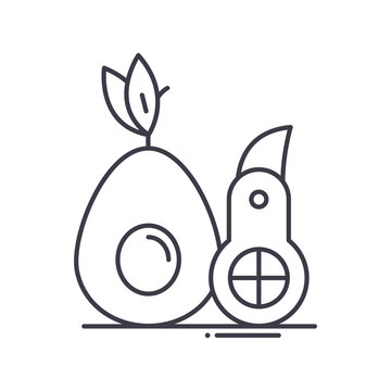 Avocado slicer icon, linear isolated illustration, thin line vector, web design sign, outline concept symbol with editable stroke on white background.