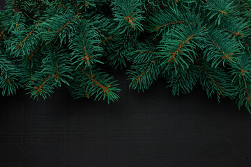 Christmas tree branches on dark wooden background with copy space. horizontal