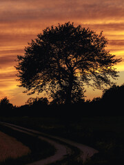 Fr&auml;nkischer Sommer im Norden von Bayern in einer sch&ouml;nen H&uuml;gellandschaft bei Sonnenuntergang in Oberfranken