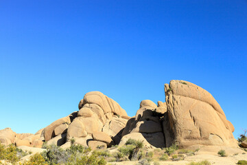 sunny afternoon at Joshua tree national park