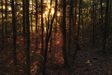 Fototapeta premium Romantische fränkische Sommerlandschaft im Abendrot in Bayern in Oberfranken bei Sonnenuntergang in den Hügeln