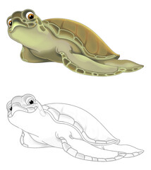 cartoon scene with sketch with happy turtle on white background illustration
