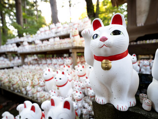 東京都　豪徳寺の招き猫