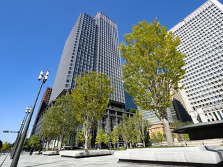 Obraz premium 東京都 丸の内駅前広場とオフィスビル街