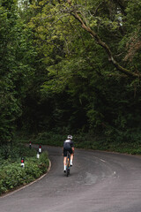 Cyclist climbing up a climb with overhanging trees