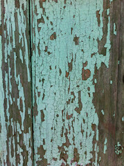 Background of wooden green boards