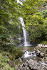 Fototapeta na wymiar Minoh falls in Osaka, Japan in early summer