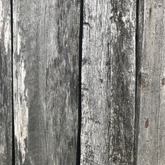 Background of vertical wooden gray planks