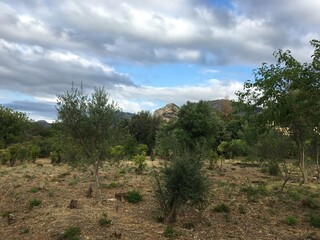 Obraz premium Frühling auf Sizilien in der Nähe von Palermo