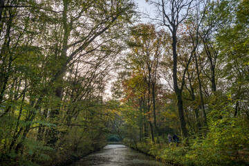 Naklejka premium Beautiful romantic park with colorful trees and sunlight, autumn natural background, South Holland