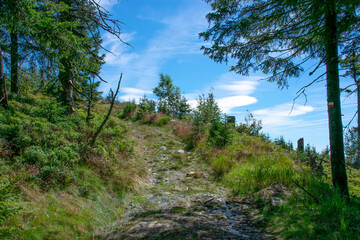 Road on Svaroh mountain, Sumava national park