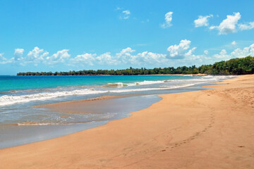 Fototapeta na wymiar Guadeloupe Deshaies la plage de la grande anse