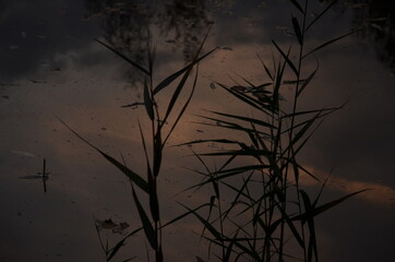 Fototapeta premium time lapse of clouds over the sunset