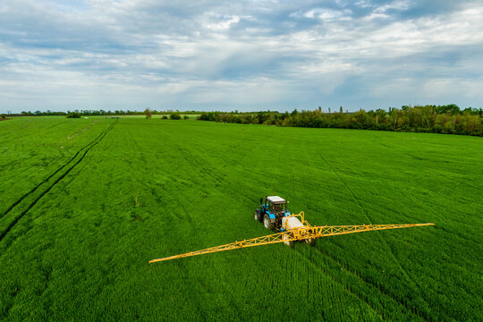 Farm Machine Sprayer Chemicals Wheat Green Field. Modern Technology Of Agriculture Aerial View From Drone