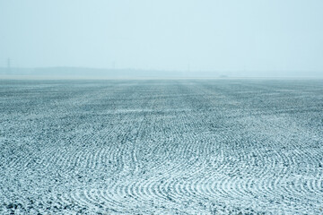 The snowy fields of the Canadian prairie flatlands in Manitoba, Canada. Taken just as the first snow fell on the country landscape. 