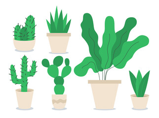 Different houseplants flat color vector objects set. Decoration for home office. Flower in container. Variety of potted plants 2D isolated cartoon illustrations on white background