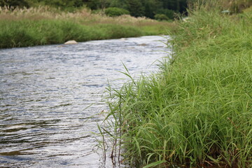 川の流れ
