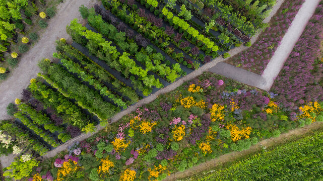 Abstract landscape, Aerial view of colorful fields. Pattern of flowers field