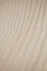 Sand texture. Sandy beach for background. Top view.