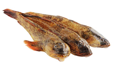 Three Azov goby fish isolated on white.