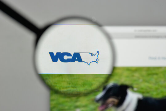 Milan, Italy - November 1, 2017: VCA logo on the website homepage.