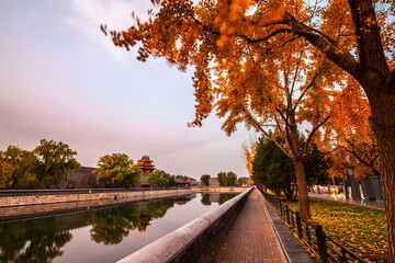 Landscape with chinese pagoda in the morning. Beijing, China