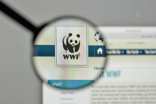 Milan, Italy - November 1, 2017: wwf logo on the website homepage.
