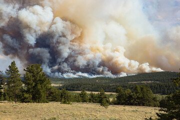 Wildfire Raging Out Of Control In Colorado Forest
