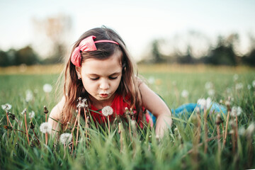 Cute adorable Caucasian girl blowing dandelions flowers. Child lying in grass on meadow. Outdoors fun summer seasonal children activity. Kid having fun outside. Happy childhood lifestyle.