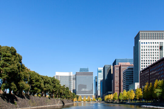 Modern Office Buildings And The Outer Moat Of The Edo Castle With Surrounding Stone Wall