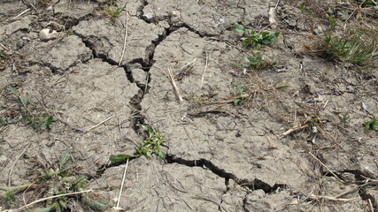 The soil is cracked because of global warming