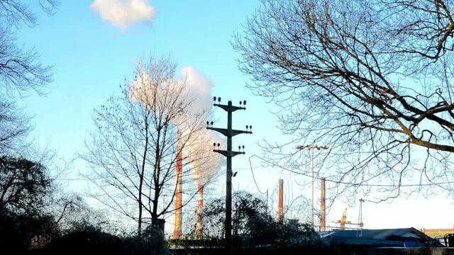 Industrial chimneys emit smoke into the air behind leafless trees in a cold winter scenery