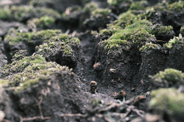 谷間に見える隆起した土