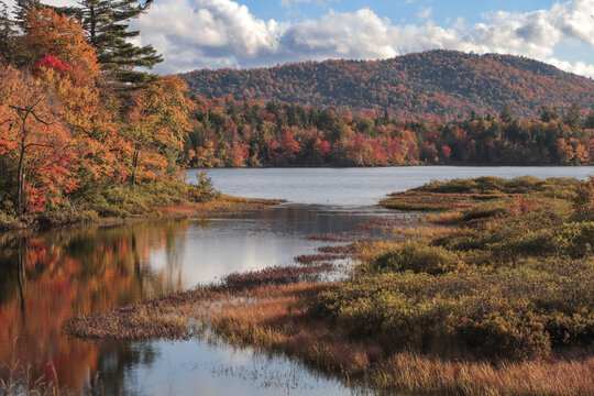 Autumn In The Mountains (Adirondacks)