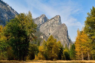 Fototapeta na wymiar Yosemite at Fall 2020, colorful trees and Bushes 