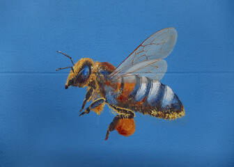 Detail of an artistically painted honey bee with pollen on its legs, painting on a house wall, copy space