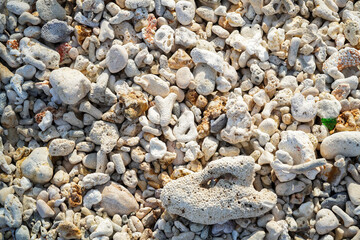 Small rocks look clean along the coast of Nusa Penida, Bali.